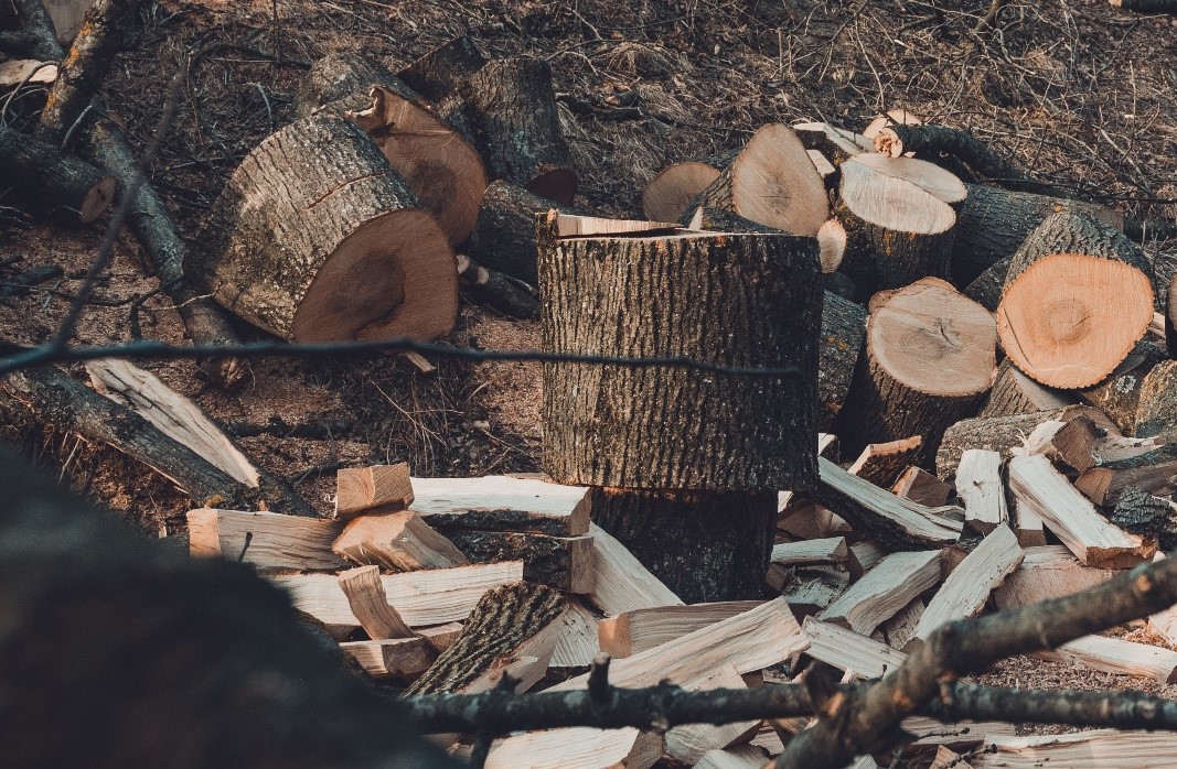 Splitting Firewood