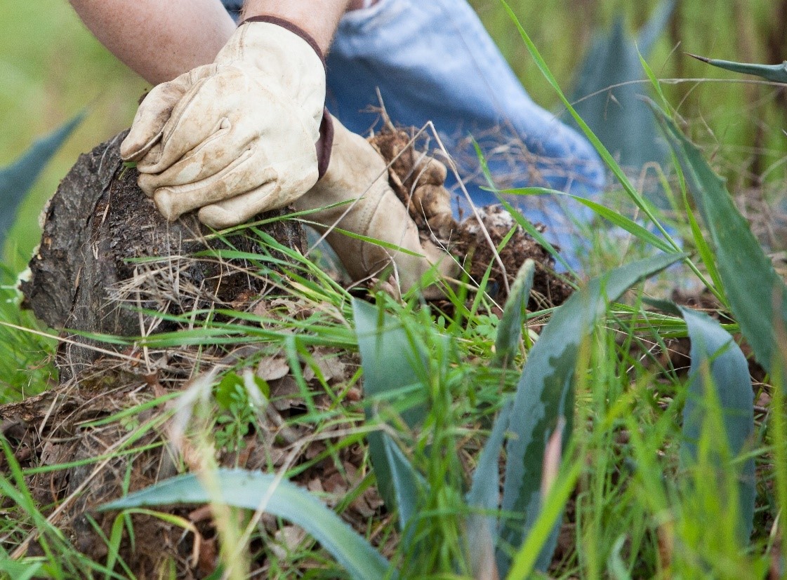 Landscaping